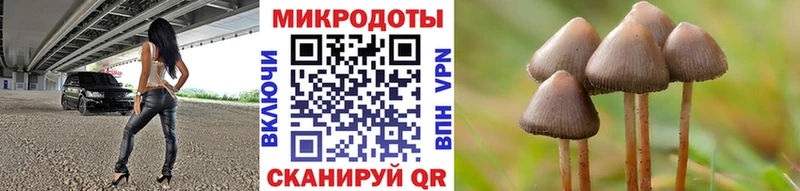 Галлюциногенные грибы мицелий  Купить  Кольчугино 